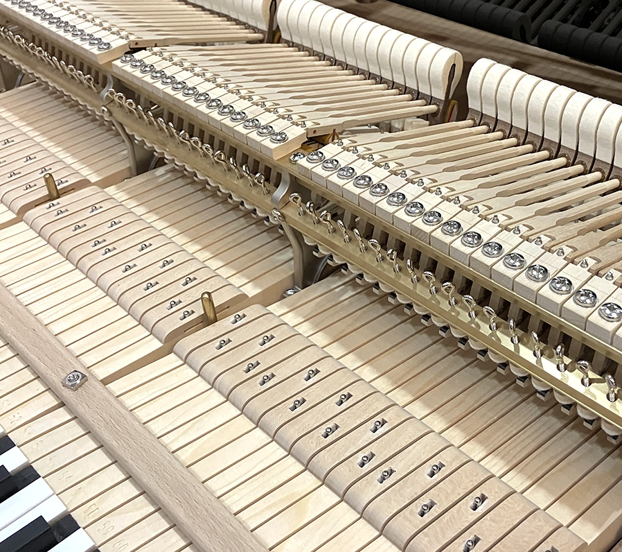ベヒシュタイン B-212(Bechstein B-212)