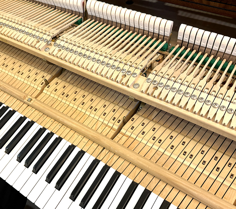 ベヒシュタイン M-180（Bechstein M-180）