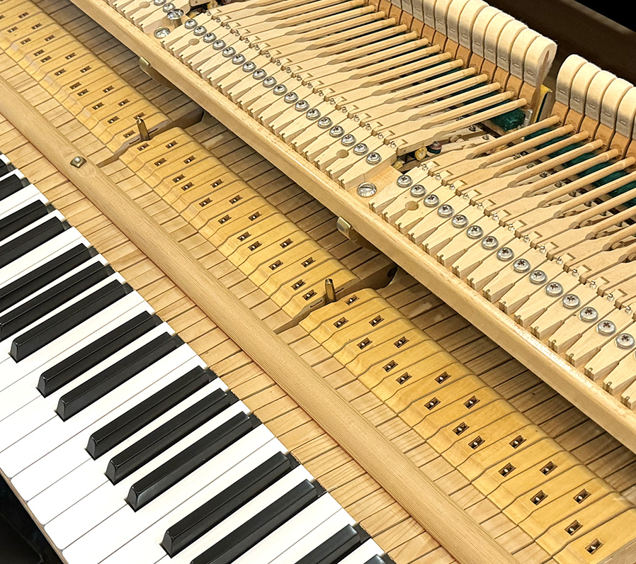 ベヒシュタイン L-167（Bechstein L-167）