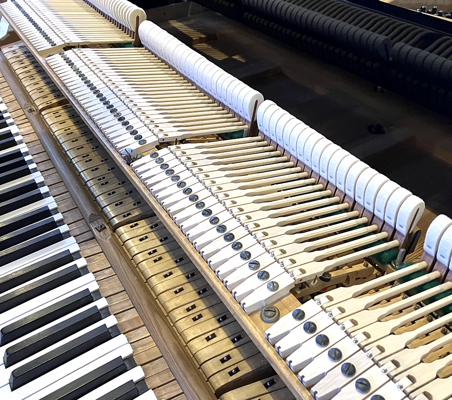 ベヒシュタイン S-145(Bechstein S-145)