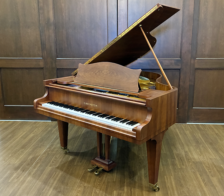 ベヒシュタイン L-167