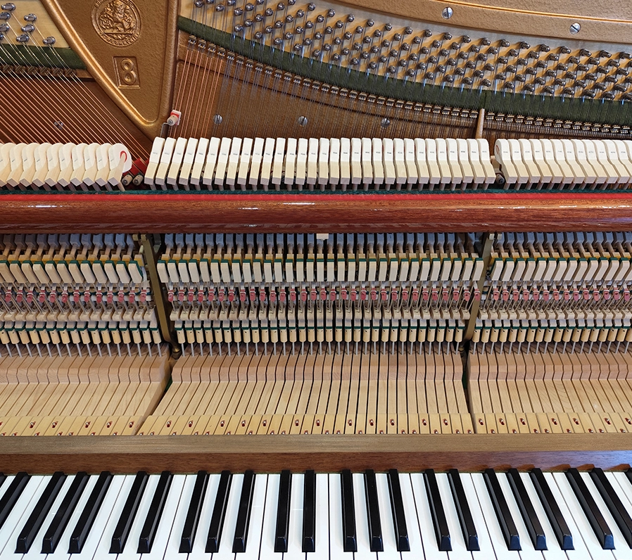 ベヒシュタイン 8a(Bechstein 8a)