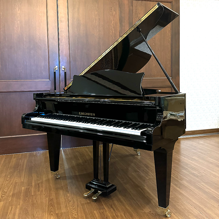 ベヒシュタイン L-167