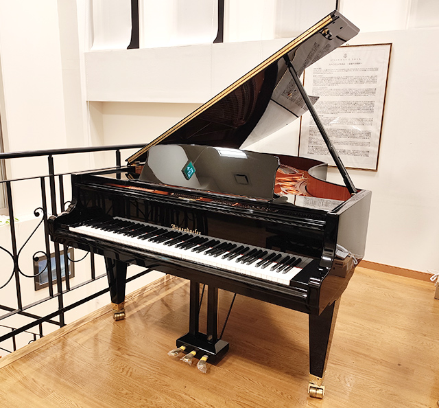 ベーゼンドルファー 225