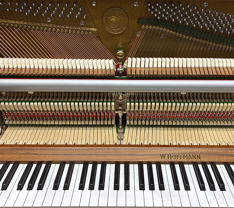 ホフマン T-122 Tradition（Hoffmann T-122 Tradition）