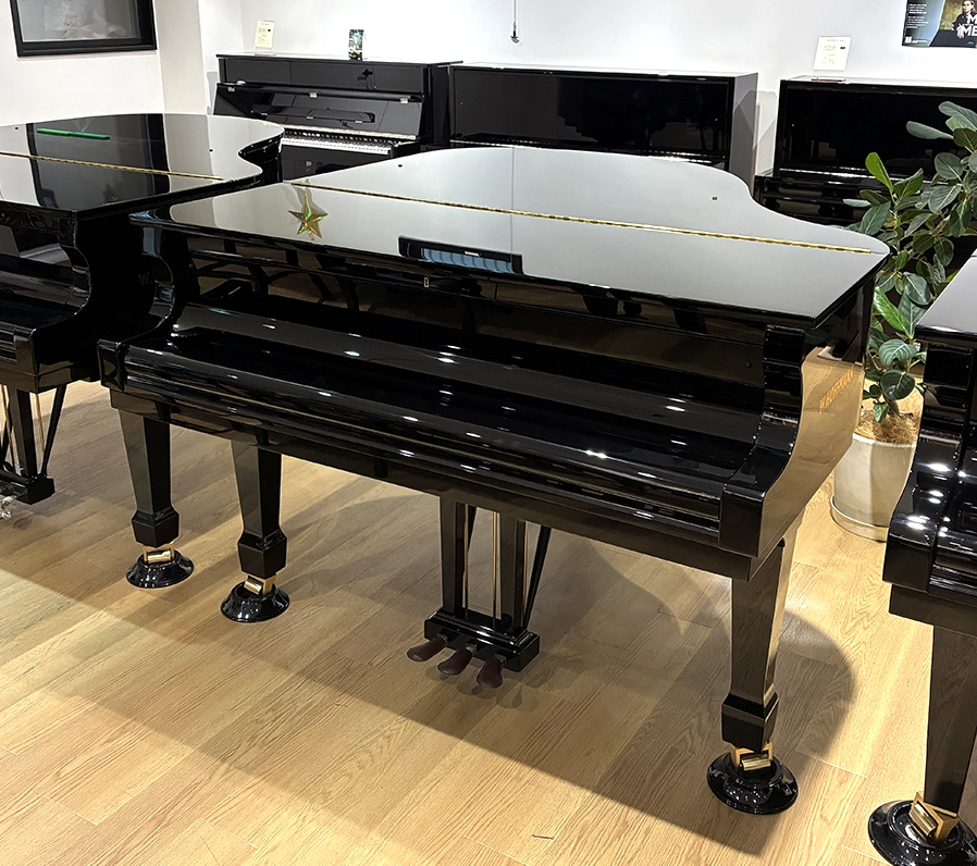 ホフマン T-161 Tradition(Hoffmann T-161 Tradition)
