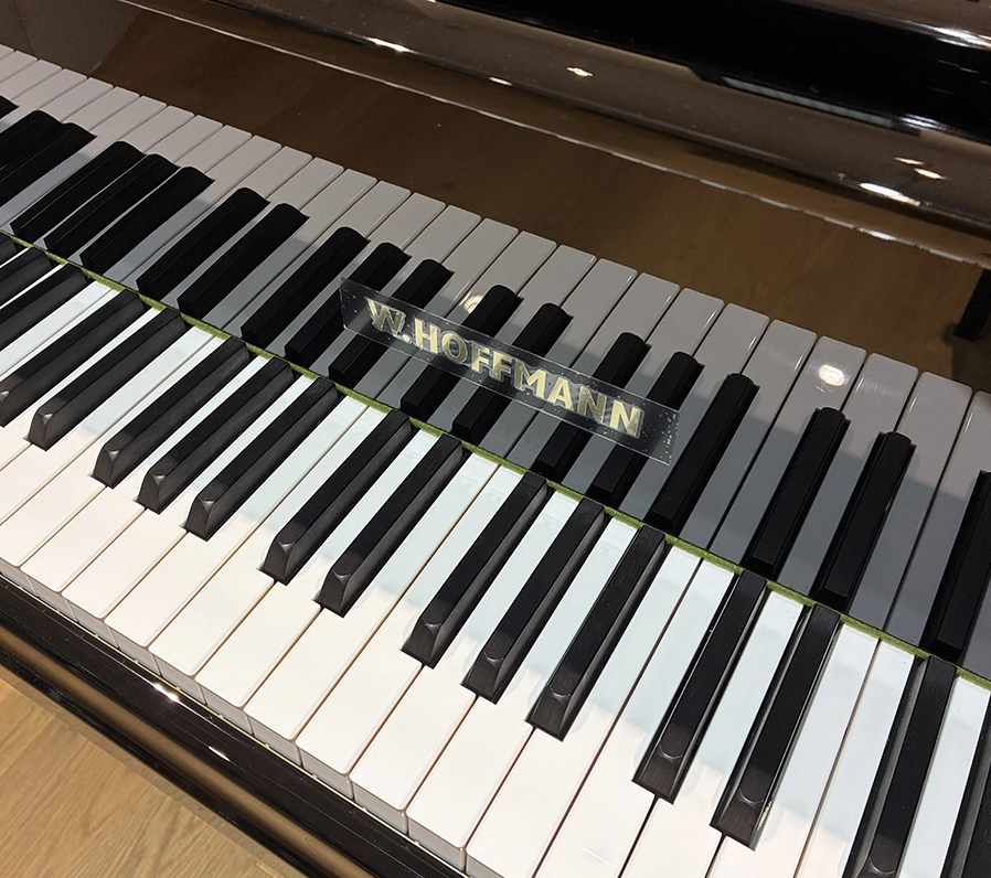 ホフマン T-177 Tradition（Hoffmann T-177 Tradition）