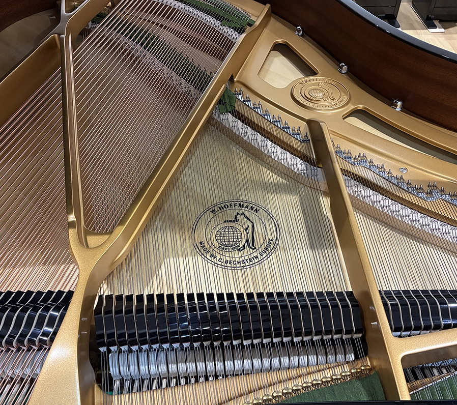 ホフマン T-177 Tradition（Hoffmann T-177 Tradition）