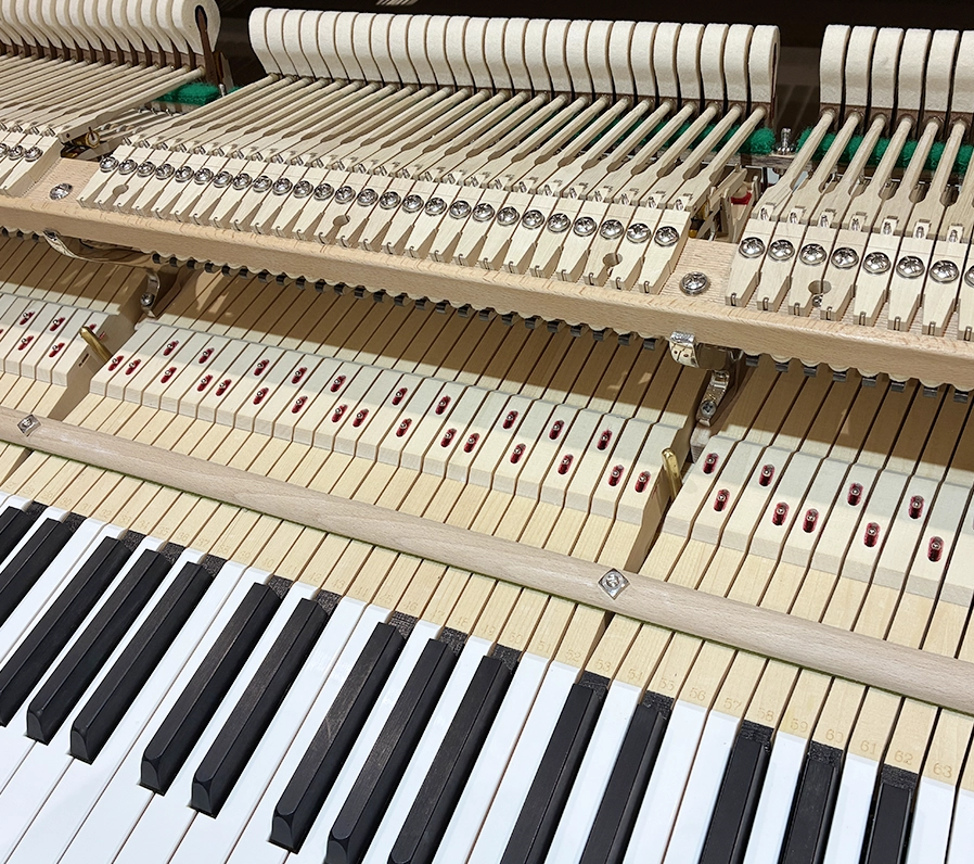 ホフマン T-177 Tradition（Hoffmann T-177 Tradition）