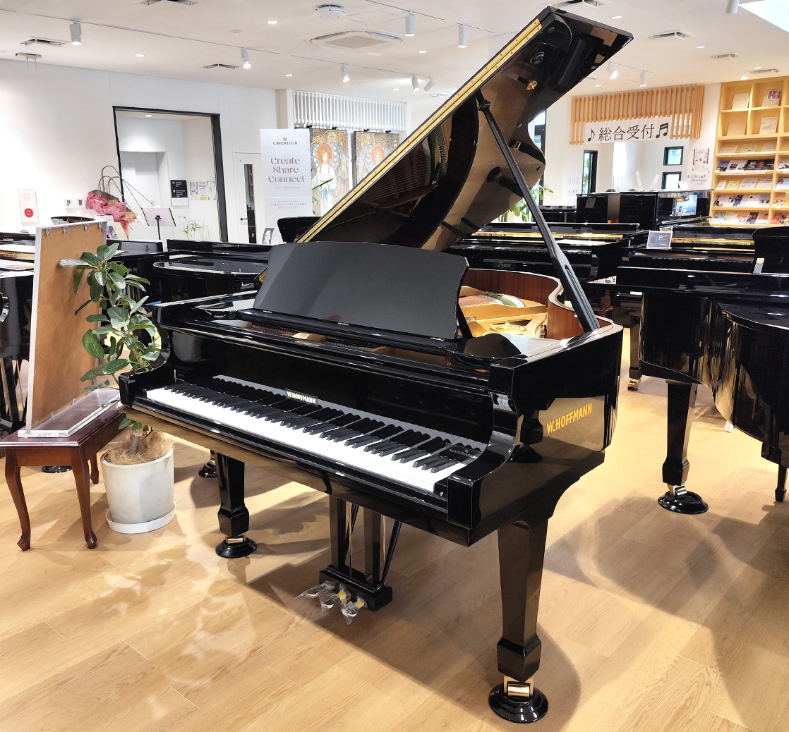 ホフマン T-177 Tradition（Hoffmann T-177 Tradition）