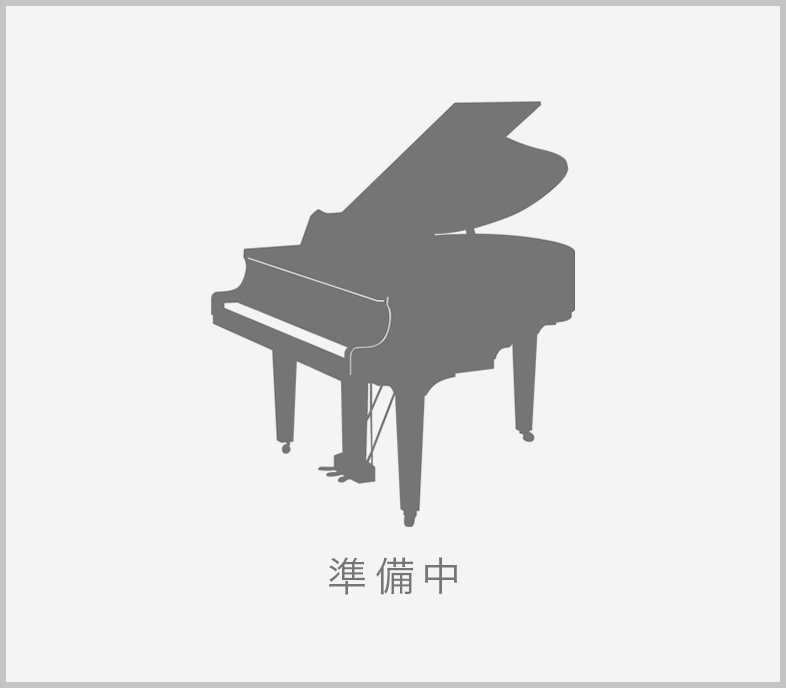 ベーゼンドルファー 170(準備中)