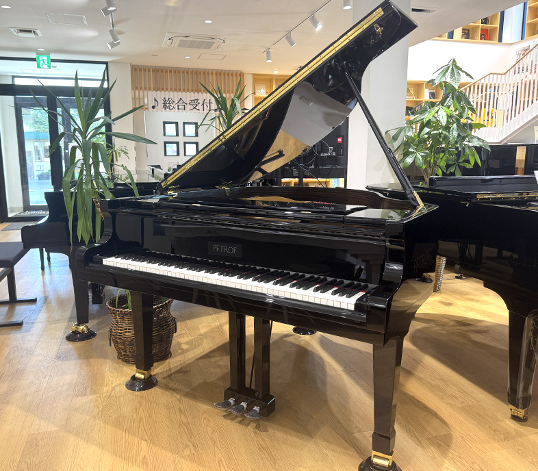 ペトロフ P159 Bora