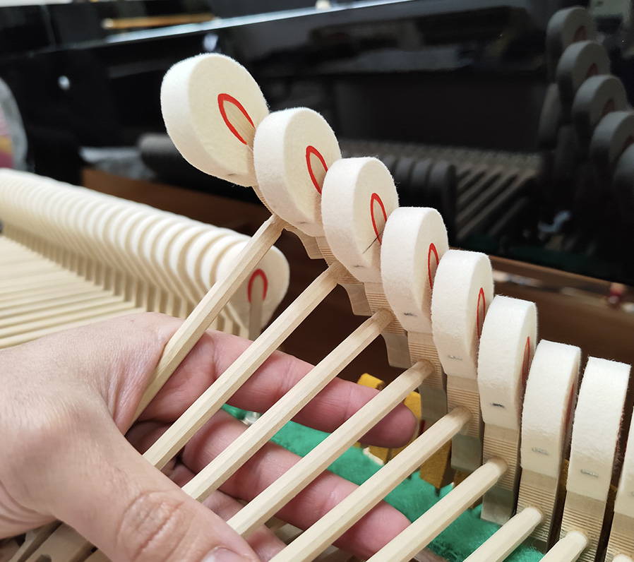 ペトロフ P-V(Petrof P-V)