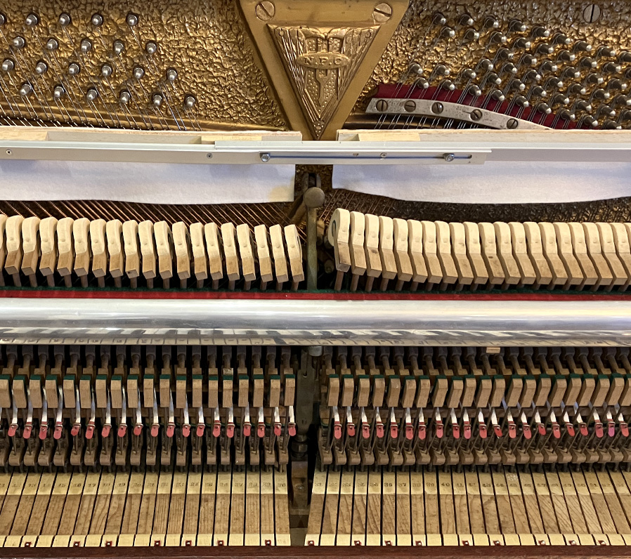 シンメル 121（Schimmel 121）