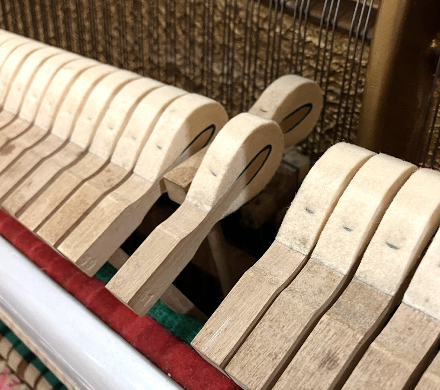 シンメル 121（Schimmel 121）