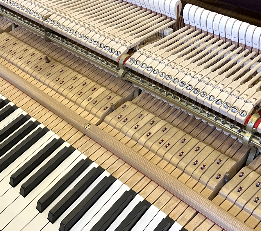 スタインウェイ S-155 チッペンデール（Steinway＆Sons S-155CHP）