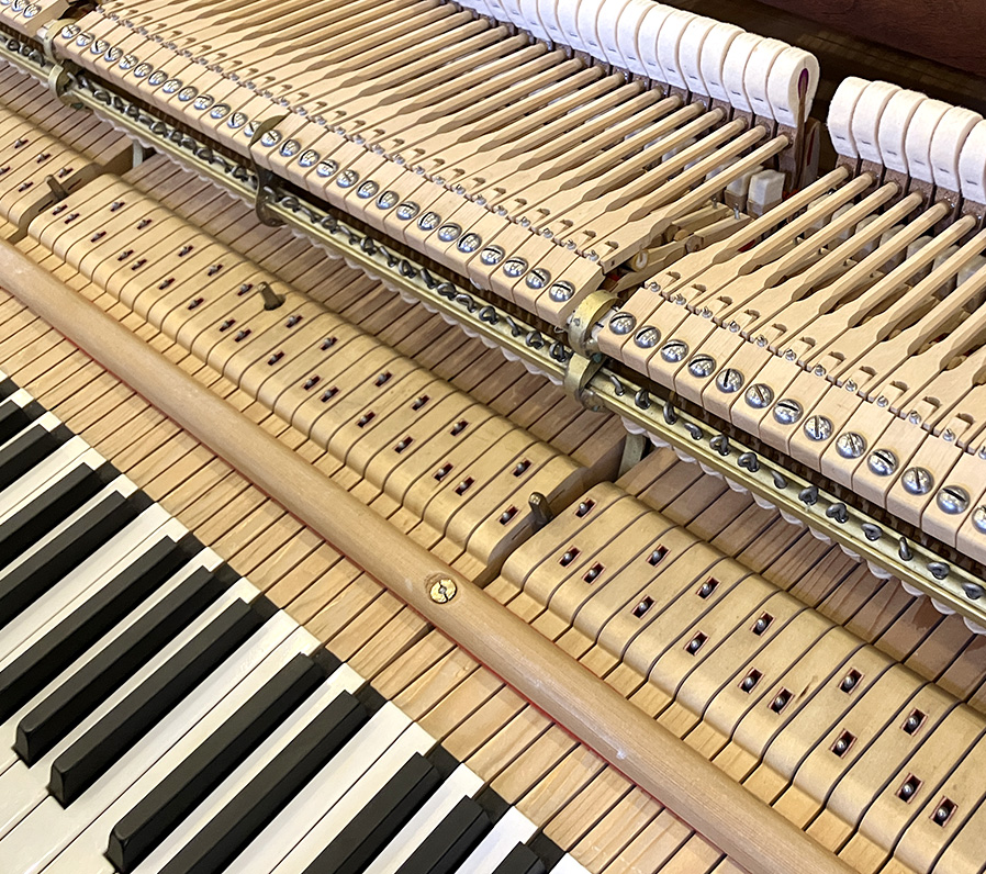 スタインウェイ S-155 チッペンデール（Steinway＆Sons S-155CHP）